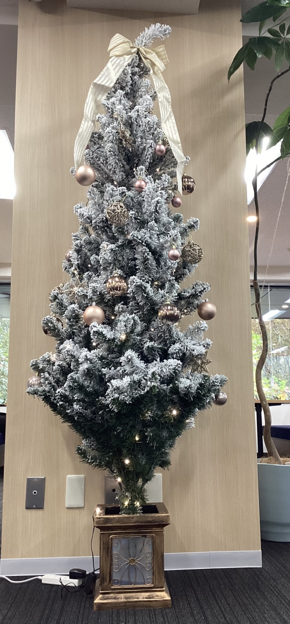 【SYNTH(シンス)メッシュ京都四条烏丸ブログ】～クリスマスツリー設置いたしました♪～