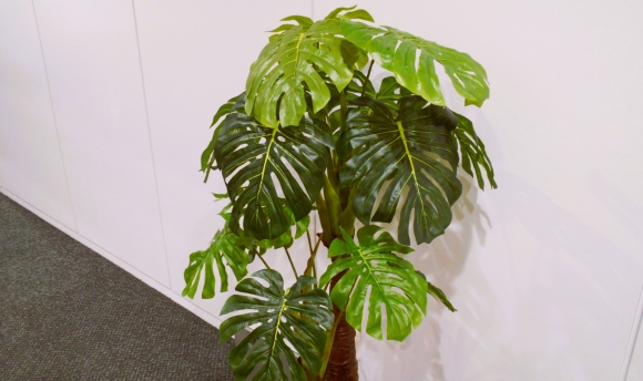 【SYNTHビジネスセンター近鉄四日市】SYNTHビジネスセンター近鉄四日市は開業７周年を迎えます