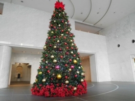 【SYNTH(シンス)堂島ブログ】～クリスマスツリーの登場です！～