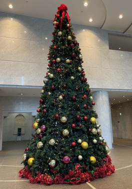 【SYNTH(シンス)堂島ブログ】★クリスマスツリーが設置されました★