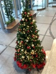 【SYNTH(シンス)ELK神戸ブログ】～クリスマスシーズン到来～