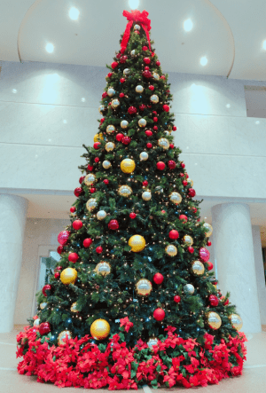 SYNTHブログを更新しました！（今年も堂島アクシスビルロビーにクリスマスツリーが登場しました！）