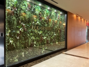 【SYNTH(シンス)ELK神戸旧居留地25番館ブログ】～施設紹介Vol.2～